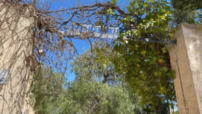 Rustic Finca in Las Trescientas - San Francisco photo 35