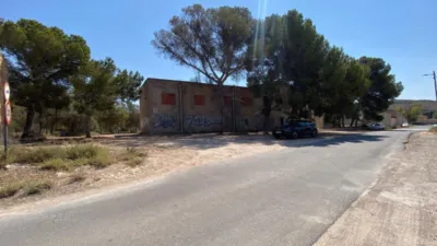 Rustic Finca in Las Trescientas - San Francisco photo 3