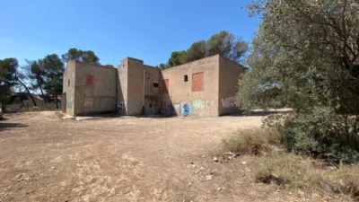 Rustic Finca in Las Trescientas - San Francisco photo 6