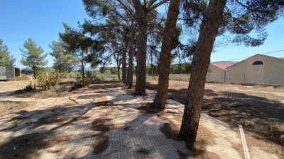 Rustic Finca in Las Trescientas - San Francisco photo 9
