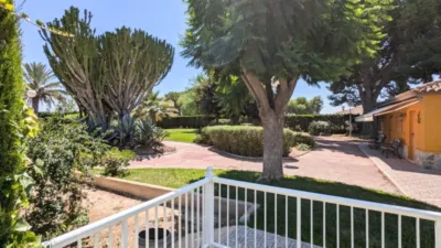 Casa – Elx / Elche, la Foia - Vista 3