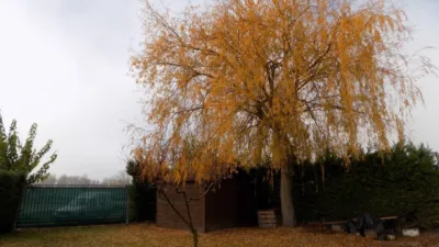 Rustic finca in Aibar. photo 11