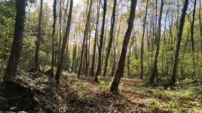 Casa en venta en Baztan, Maya del Baztán - Amaiur Maia (Baztán) de 120.000 €