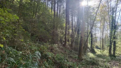 Casa en venta en Baztan, Maya del Baztán - Amaiur Maia (Baztán) de 120.000 €