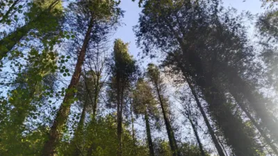 Casa en venta en Baztan, Maya del Baztán - Amaiur Maia (Baztán) de 120.000 €