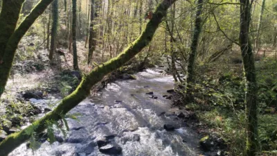 Casa en venta en Baztan, Maya del Baztán - Amaiur Maia (Baztán) de 120.000 €