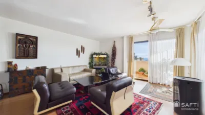 Apartment in Calvià Vila photo 13