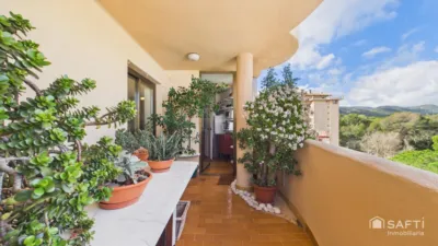 Apartment in Calvià Vila photo 36