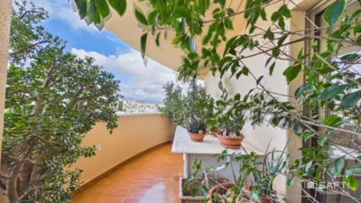 Apartment in Calvià Vila photo 38