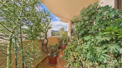 Apartment in Calvià Vila photo 39