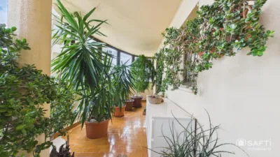 Apartment in Calvià Vila photo 42