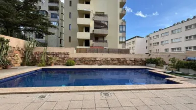 Apartment in Calvià Vila photo 46