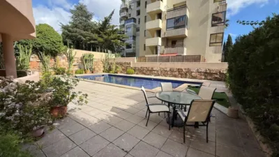 Apartment in Calvià Vila photo 47