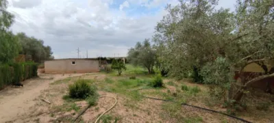 Chalet in Partida Colorada photo 61