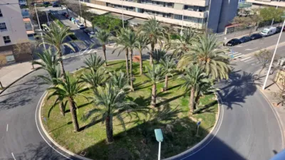 Apartment in Zona Deportiva-Nuevo Altabix photo 20