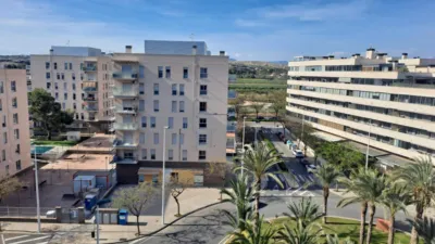 Apartment in Zona Deportiva-Nuevo Altabix photo 21