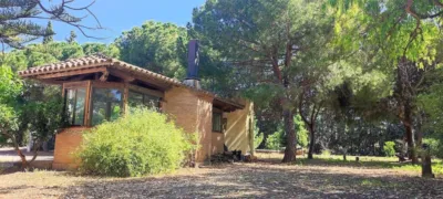 Finca rústica en venta en Carretera de Riudoms a Cambrils, 23, Riudoms de 850.000 €