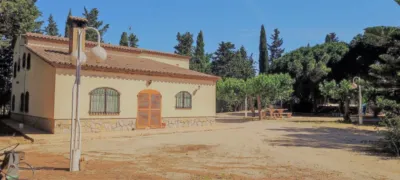 Finca rústica en venta en Carretera de Riudoms a Cambrils, 23, Riudoms de 850.000 €