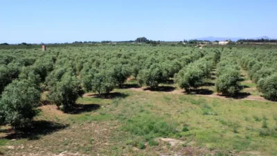 Finca rústica en venta en Carretera de Riudoms a Cambrils, 23, Riudoms de 850.000 €