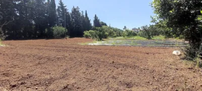 Finca rústica en venta en Carretera de Riudoms a Cambrils, 23, Riudoms de 850.000 €