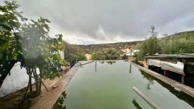 House in Andalusia photo 16
