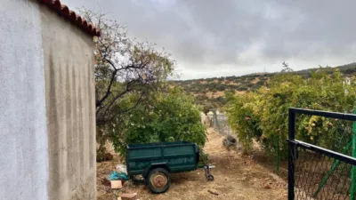 House in Andalusia photo 22