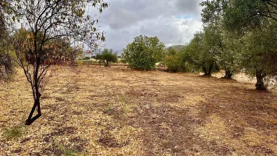 House in Andalusia photo 26