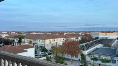 Apartment in Andalucia photo 23