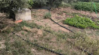 Rustic finca in Andalucia photo 21