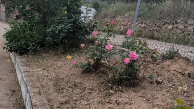 Rustic finca in Andalucia photo 24