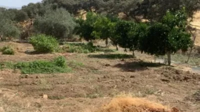 Rustic finca in Andalucia photo 25