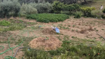 Rustic finca in Andalucia photo 27