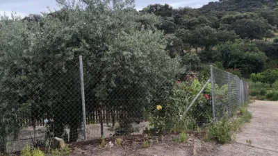 Rustic finca in Andalucia photo 6