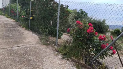Rustic finca in Andalucia photo 8
