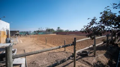 Finca rústica en venta en Calle La Ballena Poligono 9 Parcela 9, Playa de las Tres Piedras-Costa Ballena (Chipiona) de 850.000 €