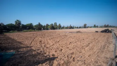 Finca rústica en venta en Calle La Ballena Poligono 9 Parcela 9, Playa de las Tres Piedras-Costa Ballena (Chipiona) de 850.000 €