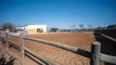 Finca rústica en venta en Calle La Ballena Poligono 9 Parcela 9, Playa de las Tres Piedras-Costa Ballena (Chipiona) de 850.000 €