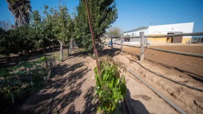 Finca rústica en venta en Calle La Ballena Poligono 9 Parcela 9, Playa de las Tres Piedras-Costa Ballena (Chipiona) de 850.000 €