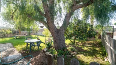 Finca rústica en venta en Calle La Ballena Poligono 9 Parcela 9, Playa de las Tres Piedras-Costa Ballena (Chipiona) de 850.000 €