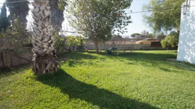Finca rústica en venta en Calle La Ballena Poligono 9 Parcela 9, Playa de las Tres Piedras-Costa Ballena (Chipiona) de 850.000 €
