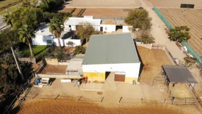 Finca rústica en venta en Calle La Ballena Poligono 9 Parcela 9, Playa de las Tres Piedras-Costa Ballena (Chipiona) de 850.000 €