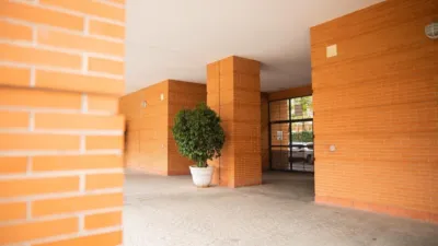 Apartment in Nervión photo 37