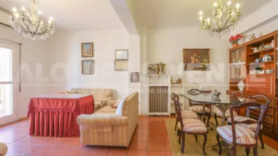Apartment in Centro - Arenal photo 5