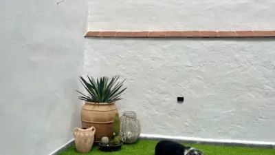 House in Andalusia photo 27