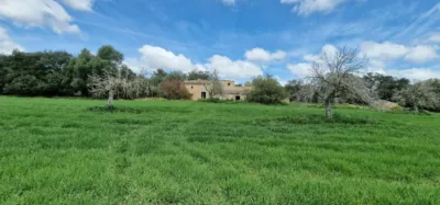 Finca rústica en venta en Mallorca, Manacor de 950.000 €