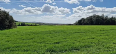 Finca rústica en venta en Mallorca, Manacor de 950.000 €