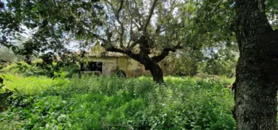 Finca rústica en venta en Mallorca, Manacor de 950.000 €