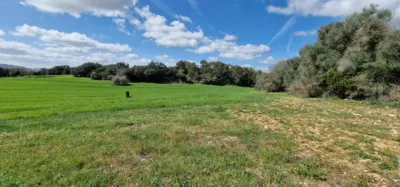 Finca rústica en venta en Mallorca, Manacor de 950.000 €