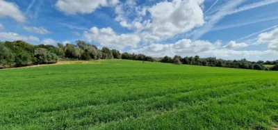 Finca rústica en venta en Mallorca, Manacor de 950.000 €