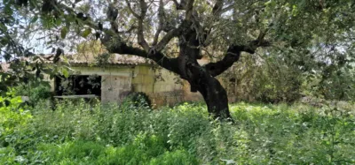 Finca rústica en venta en Mallorca, Manacor de 950.000 €